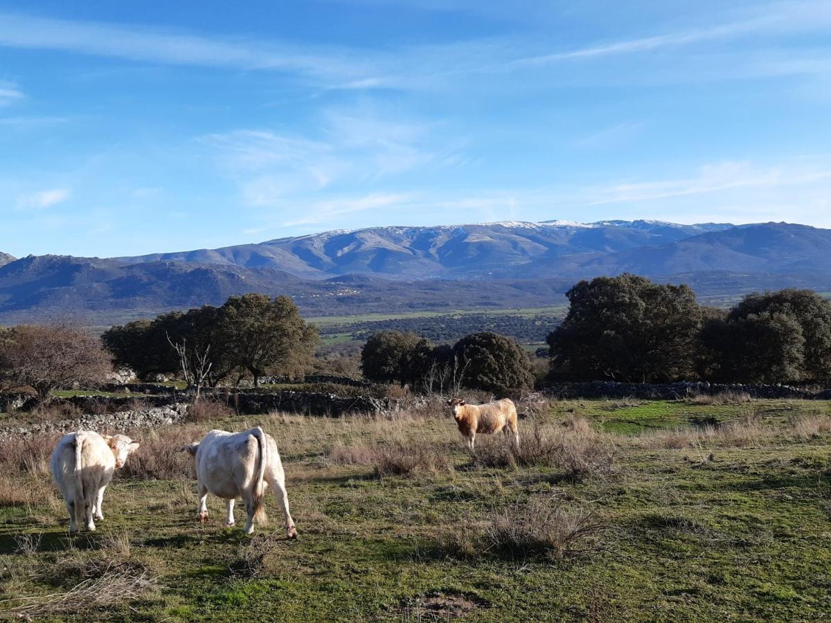 Casa Rural Mi Descanso Valdefuentes de Sangusín 外观 照片